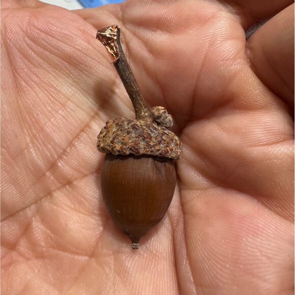 Artisan Woodland Acorn Silver & Gold Leaf Nature Pendant Necklace - Picture 8 of 11